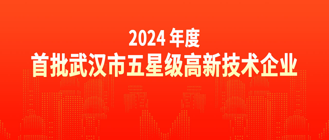 太阳成集团tyc234cc荣获“2024年度首批武汉市五星级高新技术企业”荣誉称号