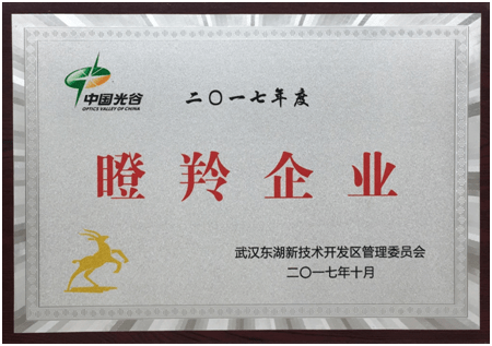 热烈祝贺太阳成集团tyc234cc再次被评定为“中国光谷瞪羚企业”